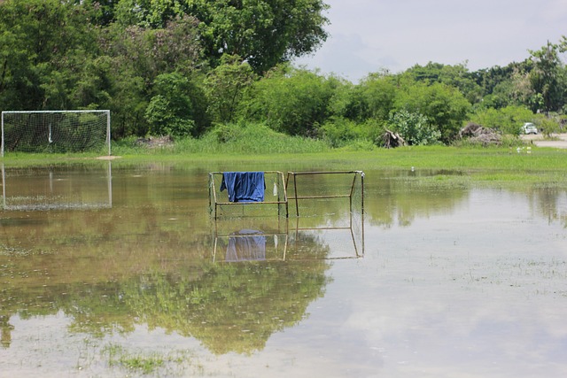 尽管骑士输 尽管骑士输