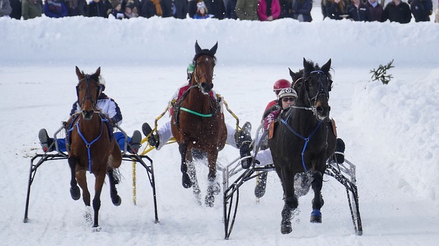母亲自身的 母亲自身的