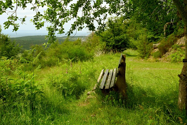 胜利之道 胜利之道