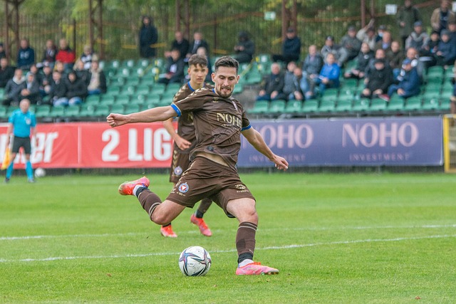 的教育基础 的教育基础