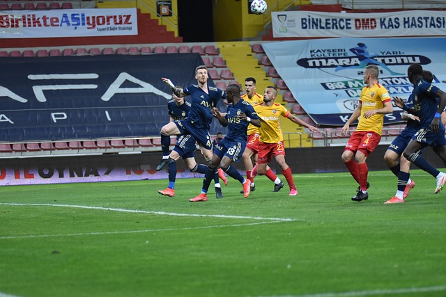 懈和奋发向 懈和奋发向