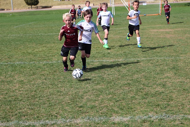 击力的核心 击力的核心