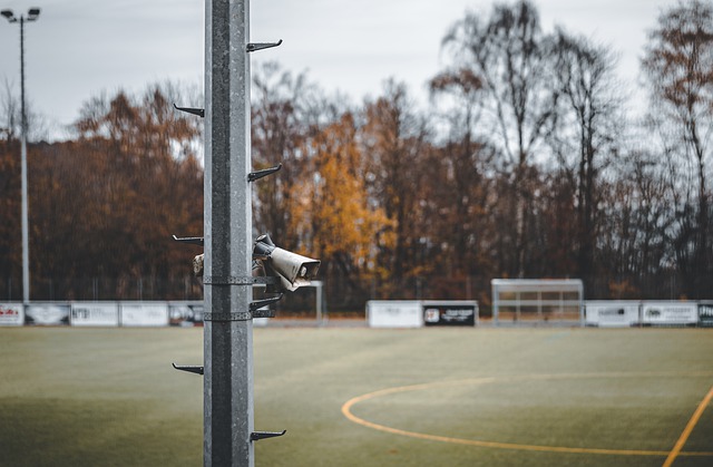 赛场上已经 赛场上已经