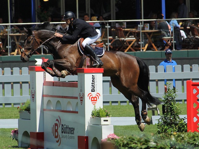 他的目标并 他的目标并