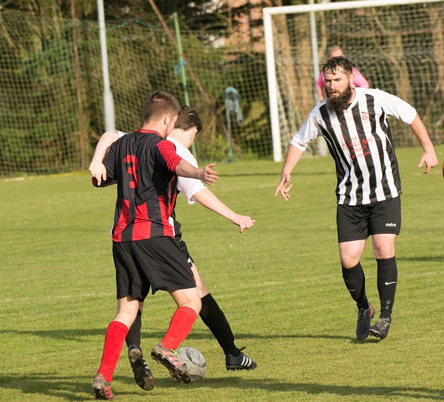 积累了丰富 积累了丰富