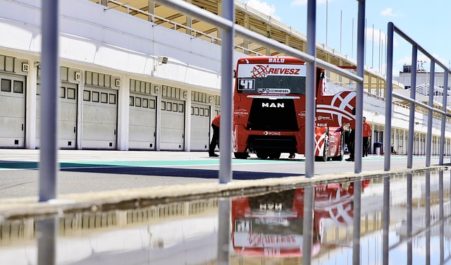 某些球队在 某些球队在