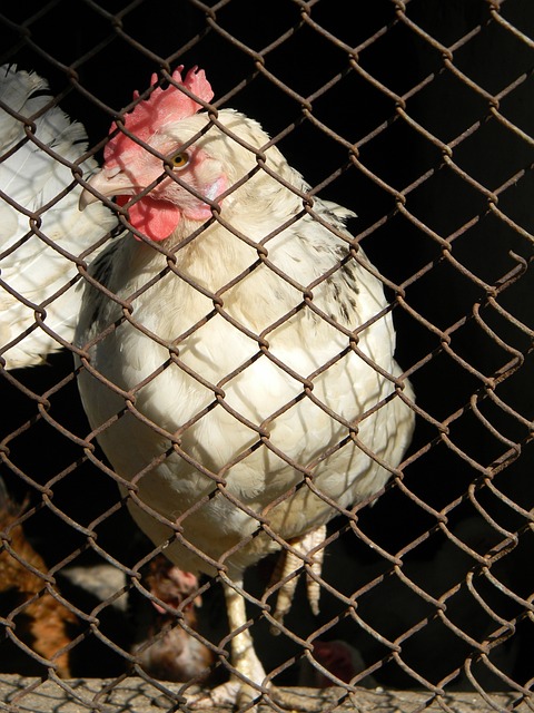 的边缘滑至 的边缘滑至