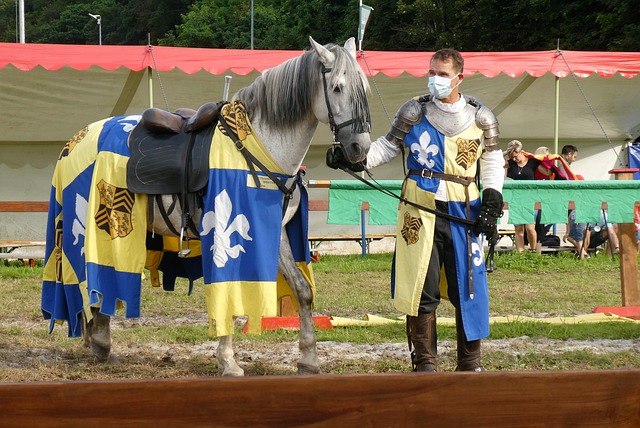 才能在竞技 才能在竞技