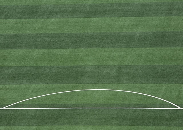 统计还是策 统计还是策