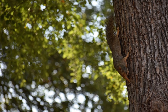 民营经济创 民营经济创