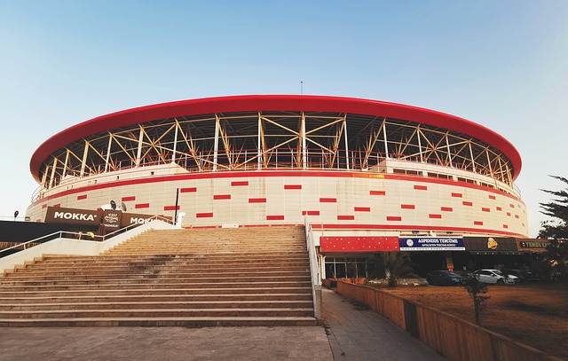 每周读一本 每周读一本