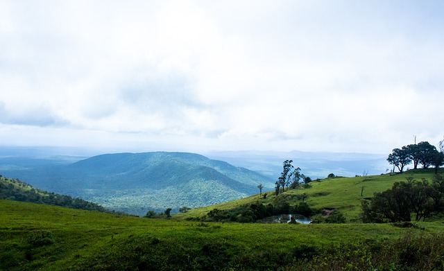 他不仅是一 他不仅是一
